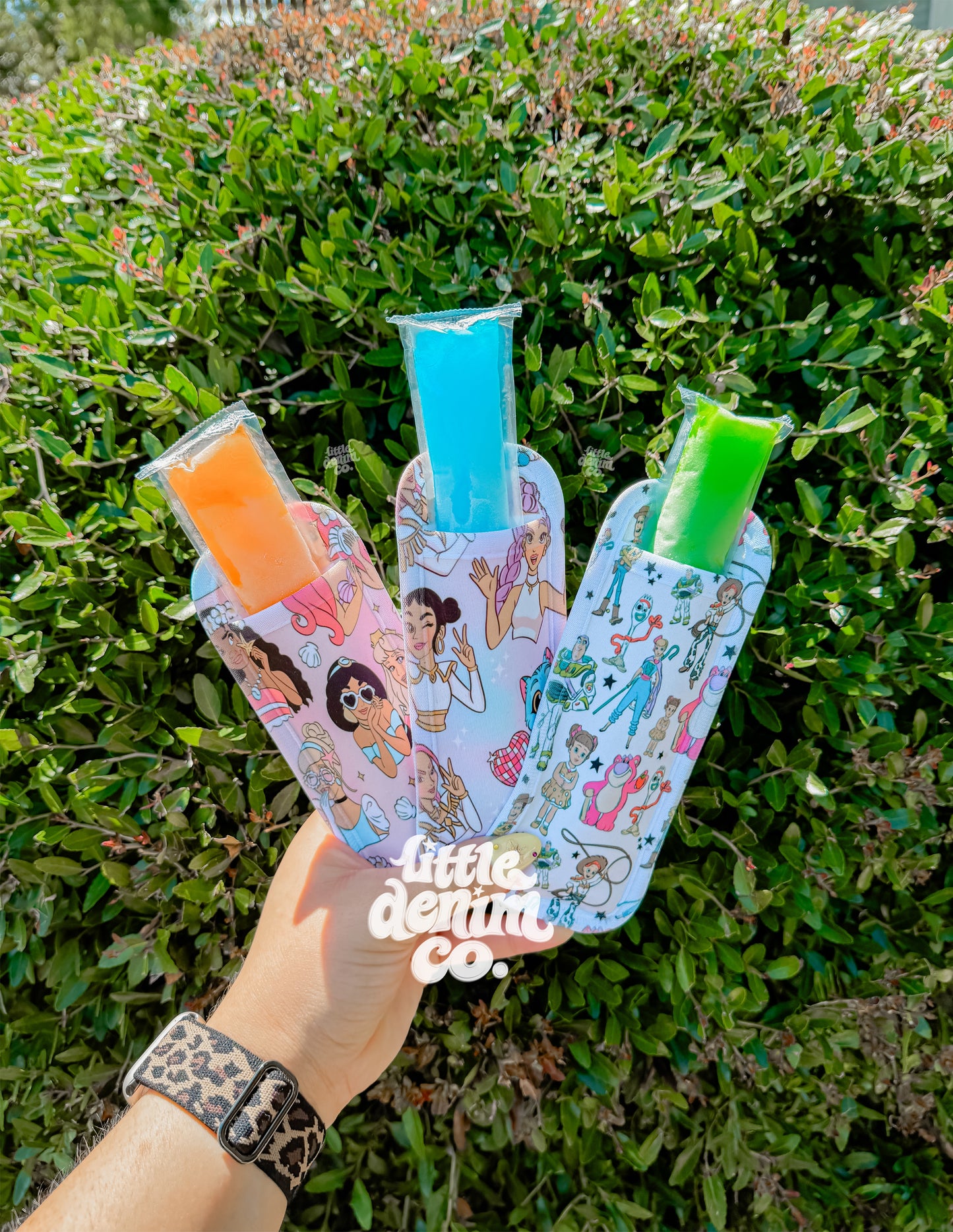 MYSTERY POPSICLE HOLDER (NO CODES) read description