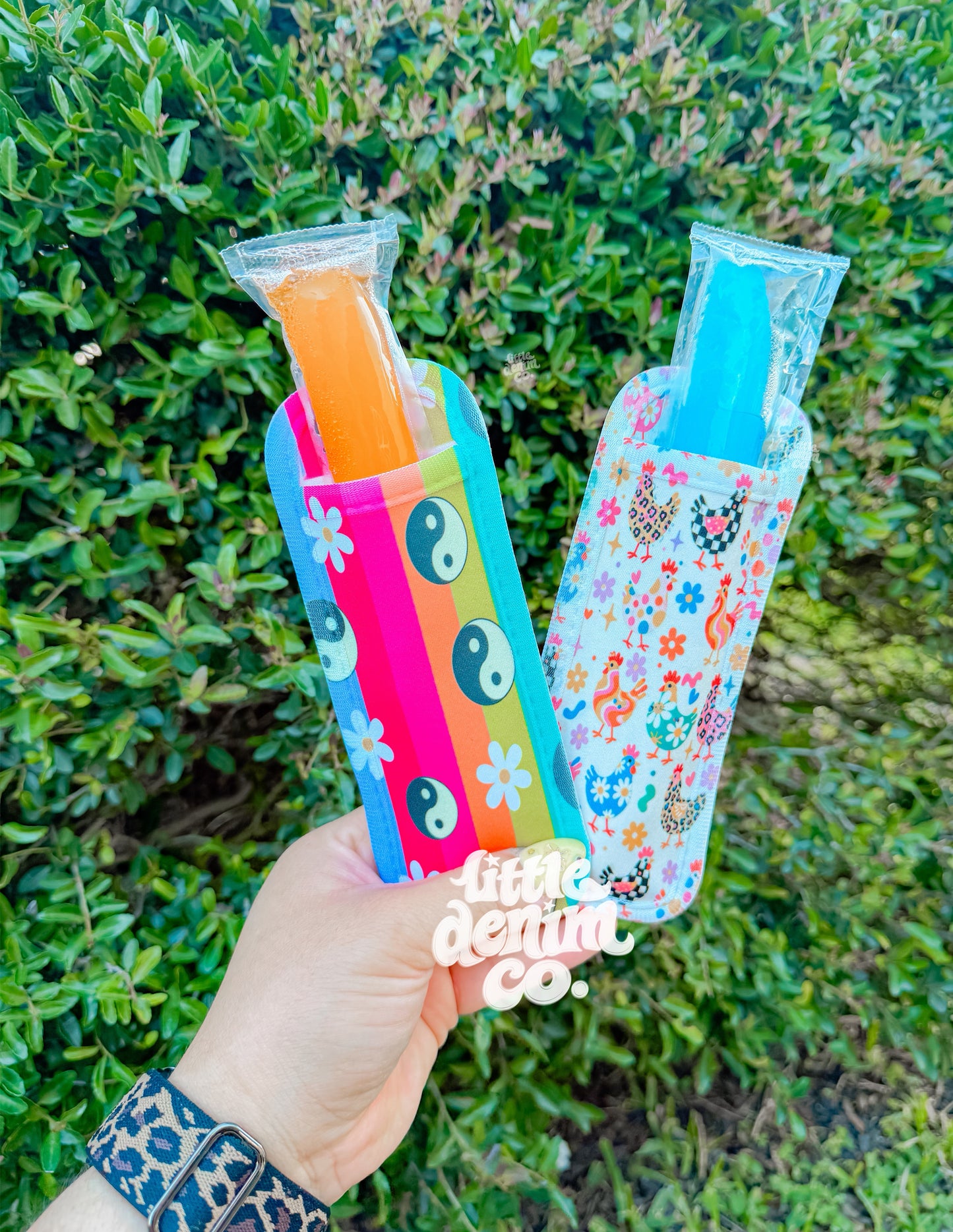 MYSTERY POPSICLE HOLDER (NO CODES) read description
