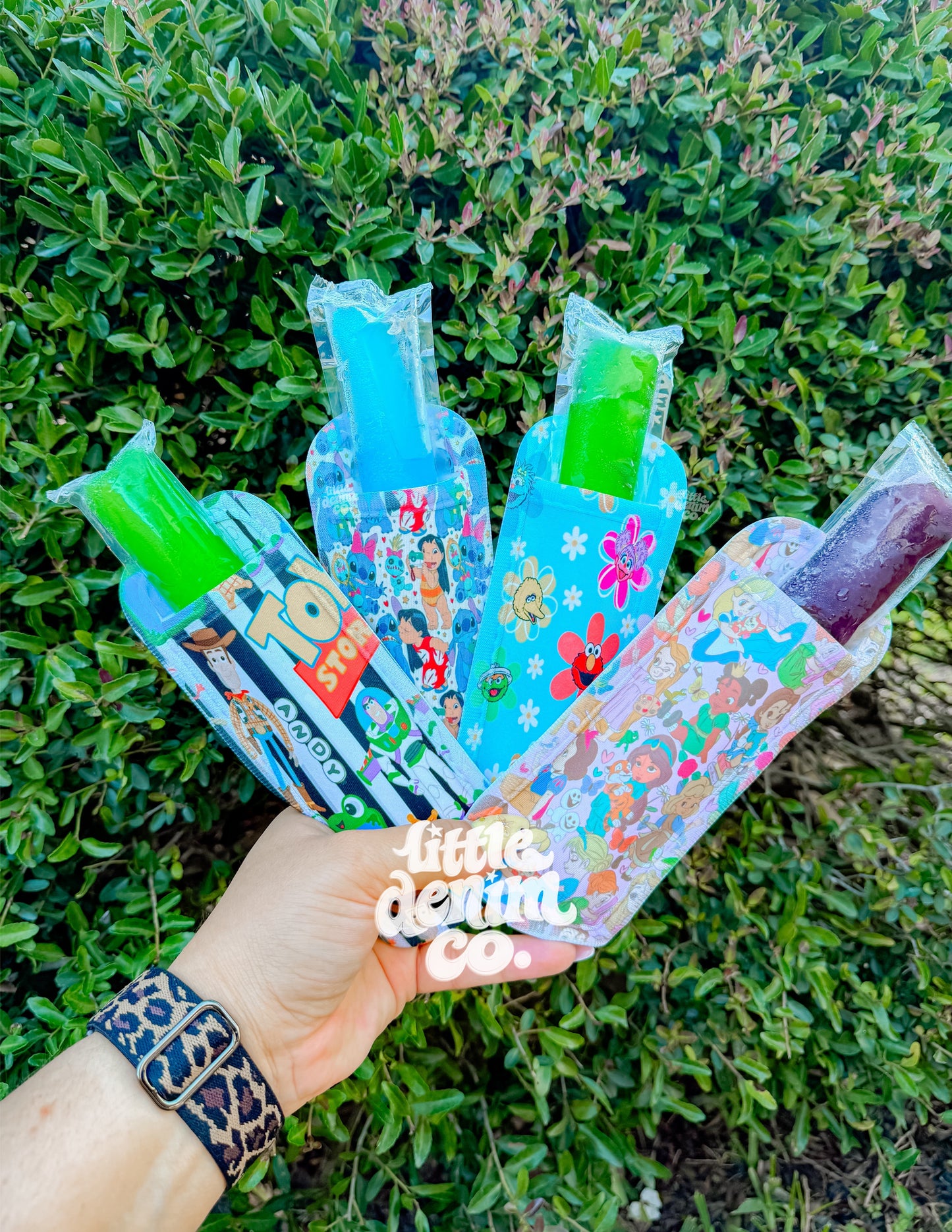 MYSTERY POPSICLE HOLDER (NO CODES) read description